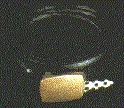 belt.jpg (19798 bytes)